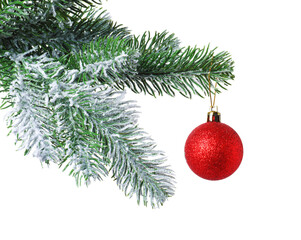 Christmas tree branch with decorative ball isolated on white