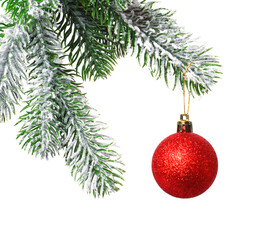 Christmas tree branch with decorative ball isolated on white