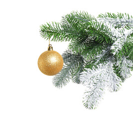 Christmas tree branch with decorative ball isolated on white