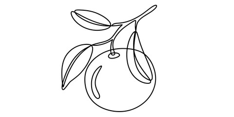 Minimalist continuous line drawing of a fruit branch with leaves and one fruit vector