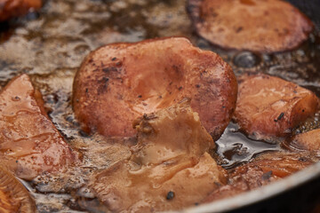 rydze w g&oacute;rach