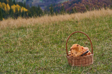 rydze w g&oacute;rach