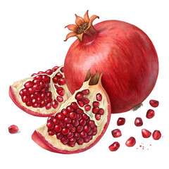 Watercolor pomegranate illustration whole fruit and slices with seeds isolated on white background