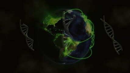 Digital Earth appearing starting rotating clockwise and DNA helices orbiting showing network growth - Powered by Adobe