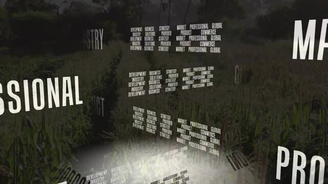 Spotlight glowing beneath floating 3D cluster rotating clockwise above field revealing buzzwords