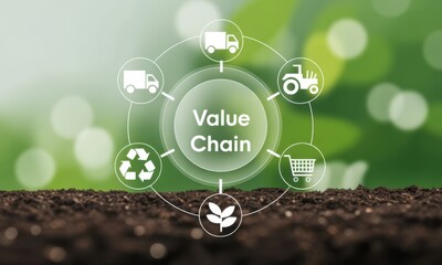 Value Chain Concept: A visual representation of the value chain, illustrating the interconnected stages from concept to consumer, emphasizes sustainability and circular economy principles.