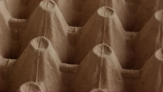 Empty molded paper egg carton slowly gliding forward close-up