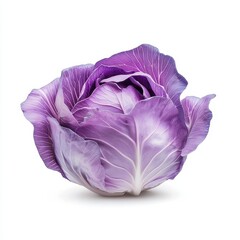 Obraz premium Fresh purple cabbage with intricate textures and vibrant leaf colors