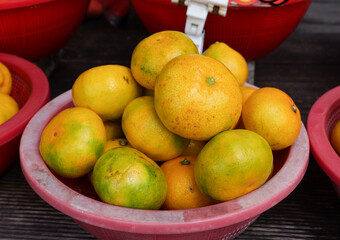 Korean tangerines or Gyul sold in Jeju Island.