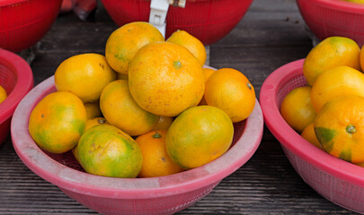 Korean tangerines or Gyul sold in Jeju Island.