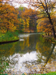 A pond in a city park in autumn.