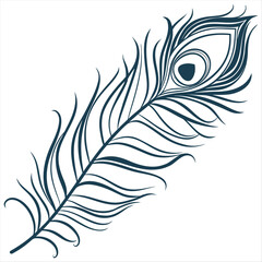 Obraz premium Sketch peacock feather isolated on white, boho style vector illustration.