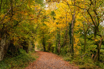 Autumn in Snowdonia National park North wales