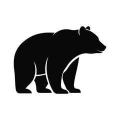 Bear silhouette isolated on wildlife nature animal mammal wild forest predator large powerful