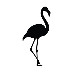 Flamingo silhouette bird elegant long neck standing waterfowl exotic tropical wild animal
