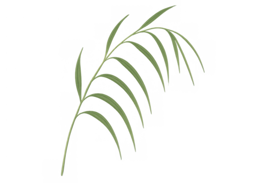 Green plant branch with multiple leaves on transparent background, reflecting nature, growth, and organic design - Powered by Adobe