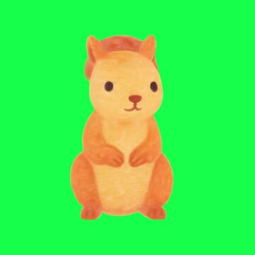 Cute squirrel illustration animation, transparent 4K video, green screen