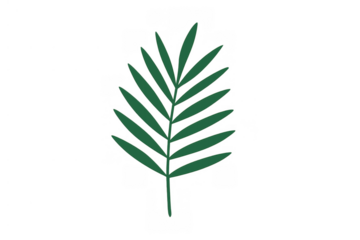 Green tropical palm leaf illustration offering nature and summer vibes with transparent background