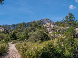 Serra de Tramuntana, Mallorca, serene dirt path winds through a lush, green landscape with rocky hills and trees under a clear blue sky, Majorca