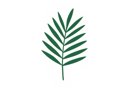 Green tropical palm leaf illustration offering nature and summer vibes with transparent background
