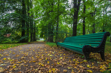a bench for elderly people to rest in a city park. park landscape. place to rest. autumn leaves....