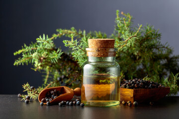 Juniper berry essential oil and branches with berries.
