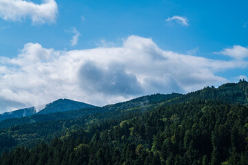 Germany, Mystical foggy beautiful black forest schwarzwald nature landscape panorama view above the tree tops at sunrise early morning