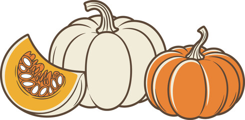 Harvest pumpkin illustration with whole orange pumpkin, white pumpkin and sliced squash piece for autumn seasonal farm food design vector