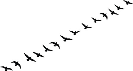 Flying bird silhouette vector, flock formation clipart, migratory birds design, nature motion icon set, black winged animal illustration