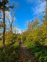 Germany, Hiking trail in autumn season, colorful trees plants quiet natural scenery, warm sunset light, a paradise for relaxation and sports
