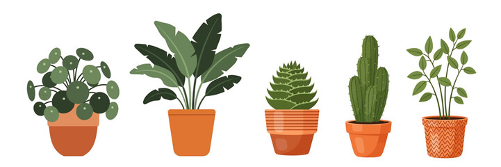 Set of house plants in a pot. Flat style. Green plant in a flower pot for cozy decoration of home, garden, veranda, balcony, terrace, office, living room, patio. Vector illustration.