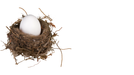 Single white egg resting in a natural brown bird nest made of dry twigs and grass, isolated on transparent background, PNG
