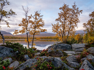 Sunrise morning in Abisko national park in north of Sweden.