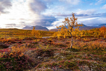 Mountain landscape in Abisko national park in north of Sweden