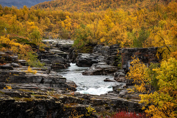 Rapids in the Abiskojokk river in Abisko national park in north of Sweden