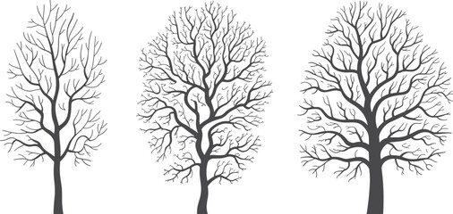 Stylized leafless tree illustration, black branches, nature silhouette, minimal forest design, artistic vector drawing, seasonal concept, winter tree graphic