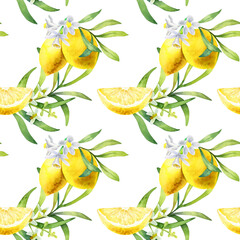 Hand drawn watercolor seamless pattern of lemons with olive branches and flowers isolated on a white background.