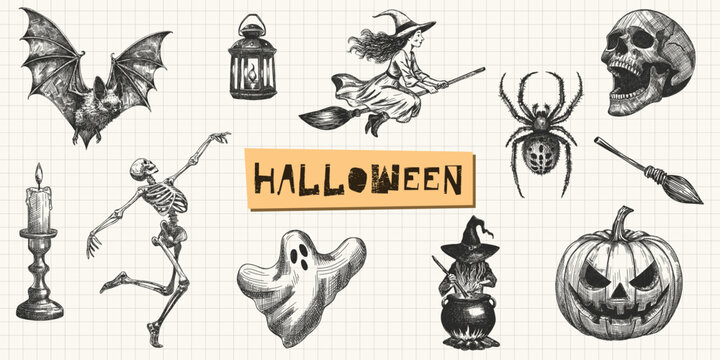 halloween set spooky elements collection flying witch bat skull skeleton ghost spider jack lantern pumpkin candle broomstick cauldron isolated hand drawn sketch grid background
