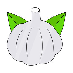 Modern design icon of garlic, food ingredient