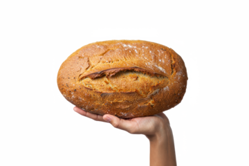 Hand Holding Rustic Artisan Bread Loaf —on transparent PNG Background