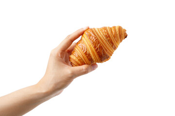 Hand Holding Artisan Croissant  —on transparent PNG Background