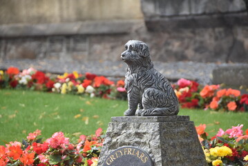 Statue en hommage à Greyfriars Bobby, un chien de race Skye terrier réputé pour sa fidélité, au milieu d'un jardin de fleurs.