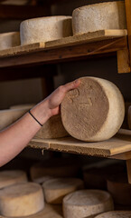 Gros plan sur des fromages en cours d’affinage dans une cave, révélant les textures naturelles, les nuances de couleur et le savoir-faire artisanal de la production fermière.