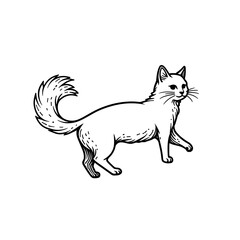 Obraz premium White cat walking gracefully with a cheerful expression 