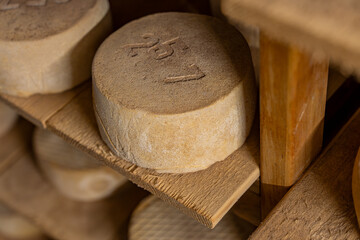 Gros plan sur des fromages en cours d’affinage dans une cave, révélant les textures naturelles, les nuances de couleur et le savoir-faire artisanal de la production fermière.