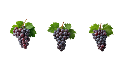 Grapes Bunch png
