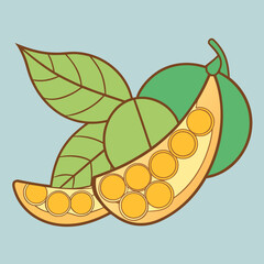 Stylized illustration of fresh green pea pods with leaves and seeds isolated on transparent background isolated on white background silhouette