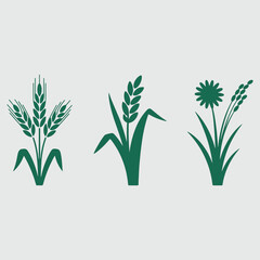 Three stylized green plant icons wheat rice and flower on light gray background agriculture