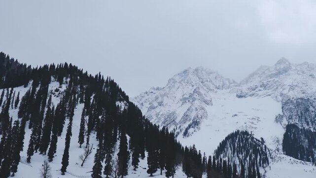 A winter landscape with snow covered mountains and trees against cloudy grey sky. Bad weather in Himalayas during winter day. Snowy landscape of Sonamarg at Jammu and Kashmir, India. 