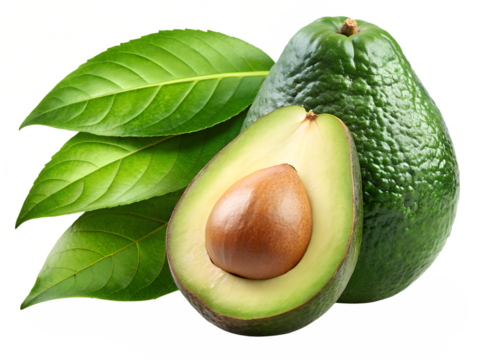  avocados isolated on transparent white background full depth of field clipping path